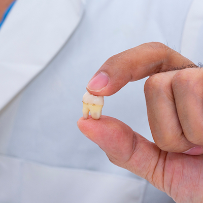 Holding tooth between fingers